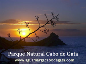 Alquiler apartamentos en Aguaamarga - Cabo de Gata
