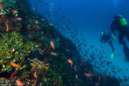 Submarinismo en Aguamarga - Cabo de Gata